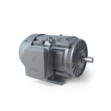 Charger l'image dans la galerie, GRC1502E TECH TOP 150 CV, 3600 tr/min, triphasé, 460 V, 445TS rigide, TEFC 