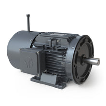 Charger l'image dans la galerie, Moteurs de frein BMG0074F-TD 7,5 CV, 1 800 tr/min, triphasé, 575 V, 213TD, bride rigide/D, ​​TEFC 