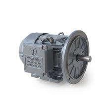 Charger l'image dans la galerie, GRC0102F-TD TECH TOP 10 CV, 3600 tr/min, triphasé, 575 V, 215TD, bride rigide/D, ​​TEFC 
