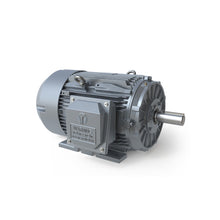 Charger l'image dans la galerie, GRC0752F 75 CV, 3600 tr/min, triphasé, 575 V, 365TS rigide, TEFC 