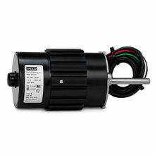 Load image into Gallery viewer, Fasco  OEM Replacement Motors (HVAC/R)  D1128 - 1/10 HP - 115 V - 3275 RPM - Single phase